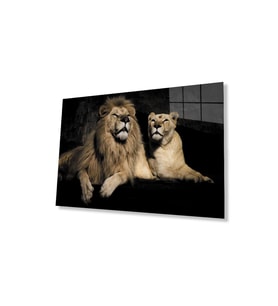 Aslan Cam Tablo 4mm Dayanıklı Temperli Cam (Çok Renkli)
