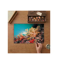 Sualtı Canlıları- Renkli Canlılar- Okyanus Tasarımı 240 parça Ahşap Puzzle Ahşap Kutuda MP00250