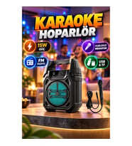 6.5 İnç 15W Bluetooth Karaoke Hoparlörü – Kablosuz Mikrofonlu, FM Radyo, USB ve TF Kart Destekli