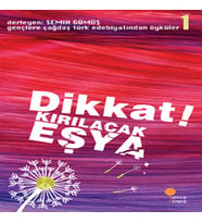 Gençlere Çağdaş Türk Edebiyatından Öyküler 1 - Dikkat! Kırılacak Eşya