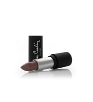 Pierre Cardin Matte Chiffon Touch Lipstick - Pinky Nude - 172 (Karışık)