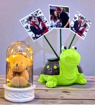 Kişiye Özel Hediye Seti 3 Fotoğraflı Sevimli Yeşil Kaplumbağa ve Led Işıklı Fanus (Model 6)