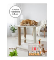 Mega Boy Kedi Tırmalama Tahtası ve Yatağı, 54 cm yüksek, geniş ve dayanıklı