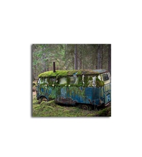 DBSanatevi Mossy Old Volkswagen In The Forest 35 X 35 Cm