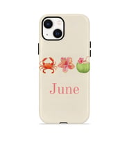 iPhone 15 Plus Vorian Çift Katmanlı MagSafe Kılıf June Seaside