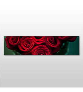 Kırmızı Gül Kanvas Tablo 240x80cm (Karışık)