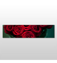 Kırmızı Gül Kanvas Tablo 240x80cm (Karışık)