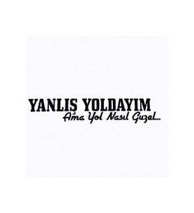 Yanlış Yoldayım Oto Sticker 16*4 Cm