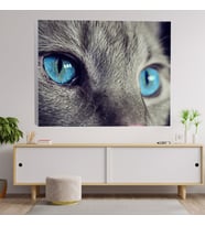 Yakın Çekim Mavi Gözlü Kedi Dekoratif Kanvas Tablo