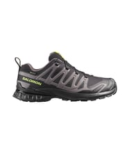 Salomon Xa Pro 3D V9 Gtx Erkek Outdoor Ayakkabısı L47987300 Siyah