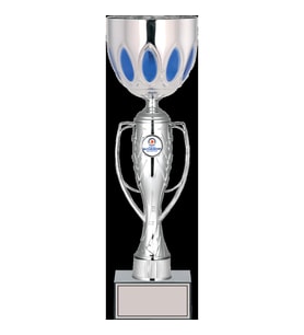 ODAK KUPA - X Large Kupalar - XL-022 C - 40 cm