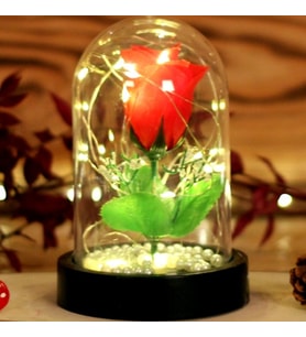 Led Işıklı İncili Fanus Gül