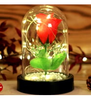 Led Işıklı İncili Fanus Gül