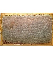 Petek Çiçek Balı 850 GR