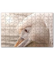 Cakapuzzle Pelikan Yakın Çekim Flu Arkaplan Puzzle Yapboz MDF (Ahşap) (120 Parça)