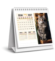 2027 KEDİ MASA TAKVİMİ-16X15 CM-SERT TAŞIYICILI-SPİRALLİ