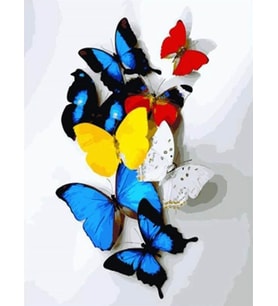 Kelebek Sürüsü Sayılarla Boyama Seti(40x50 cm Tuval Şasesine Gerili)