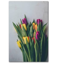 Cakatablo Gri Zeminde Sarı ve Bordo Laleler MDF Tablo