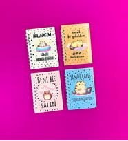 Mini 4'lü Kedili Spiralli Defter