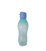 Tupperware Eko Şişe 750 Ml - Mavi