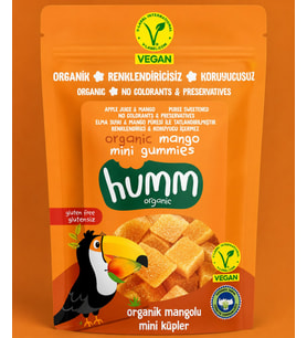 Organik Glutensiz Vegan Mangolu Mini Küpler 30 Gr