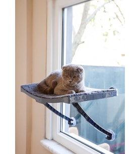 Model Cam Ve Duvar İçin Kedi Yatağı Vantuzlu