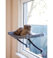 Model Cam Ve Duvar İçin Kedi Yatağı Vantuzlu