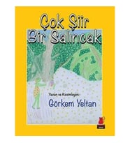 Çok Şiir Bir Salıncak