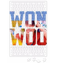 Seventeen Wonwoo Puzzle 240 Parça Yapboz