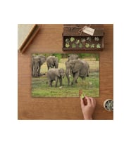 Fil Ailesi - Elephant Tasarımı 240 parça Ahşap Puzzle Ahşap Kutuda MP05085
