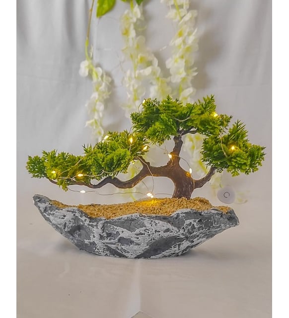 Ylbana zel El Yapm Led Ikl Ta Saks Ve Bonsai Aac
