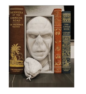 Lord Voldemort
