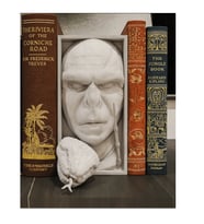 Lord Voldemort