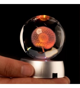 Dekoratif Renk Değiştiren Işıklı Karahindiba 3D Cam Küre