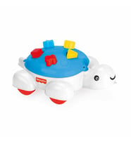 1804 FISHER PRICE KAPLUMBAĞA BULTAK