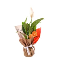 BUKET KAGIDINDA SPATİFİLYUM TASARIM