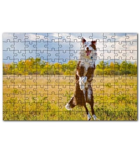 Cakapuzzle Sarı Çayırda Zıplayan Kahverengi Beyaz Köpek Puzzle Yapboz MDF(Ahşap) (120 Parça)
