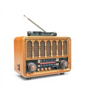 Nostaljik Radyo Eskitme Mini Trend Nostalji Radyo(ASMA APARAT ÖZELLİKLİ) (Kahve Leopar)