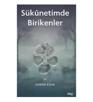 Sukunetimde Birikenler