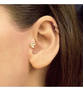 Altın Lotus Tragus Küpe (Gold)
