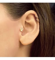 Altın Lotus Tragus Küpe (Gold)