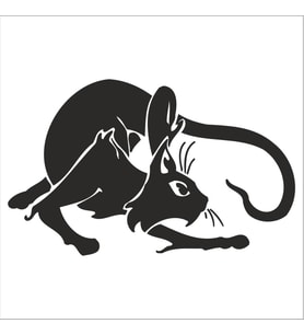 KEDİ FOLYO STİCKER 130cm Uzunluk (Karışık)