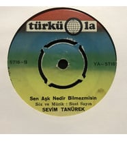 Sevim Tanürek Sen Aşk Nedir Bilmezmisin 45lik plak (Karışık)