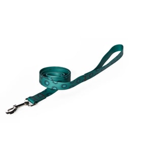 PVC Turkuaz Köpek Tasma Kayışı