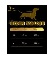 PVC Turkuaz Köpek Tasma Kayışı