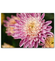 Cakapuzzle Sarı Pembe Çiçek Yakın Çekim Flu Arkaplan Puzzle Yapboz MDF (Ahşap) (120 Parça)