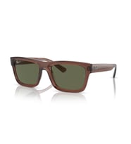 RB 4396 66789A 54 Ray-Ban WARREN Polarize Güneş Gözlüğü