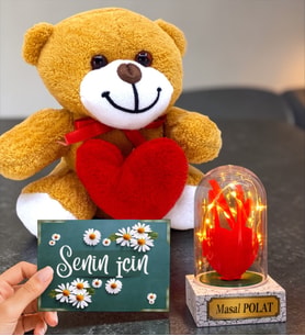 Sevimli Kalpli Peluş Ayıcık ve Led Işıklı Kişiye Özel Fanus (Model 7)