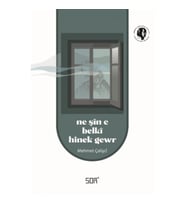 Ne Şin e Belki Hinek Gewr