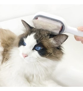 Kedi Köpek Tüy Toplama Tarağı